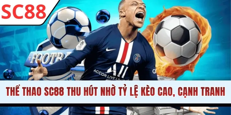 Thể thao SC88 thu hút nhờ tỷ lệ kèo cao, cạnh tranh